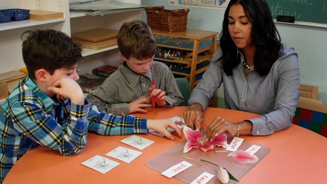 Teacher shows 2 children the anatomy of a flower