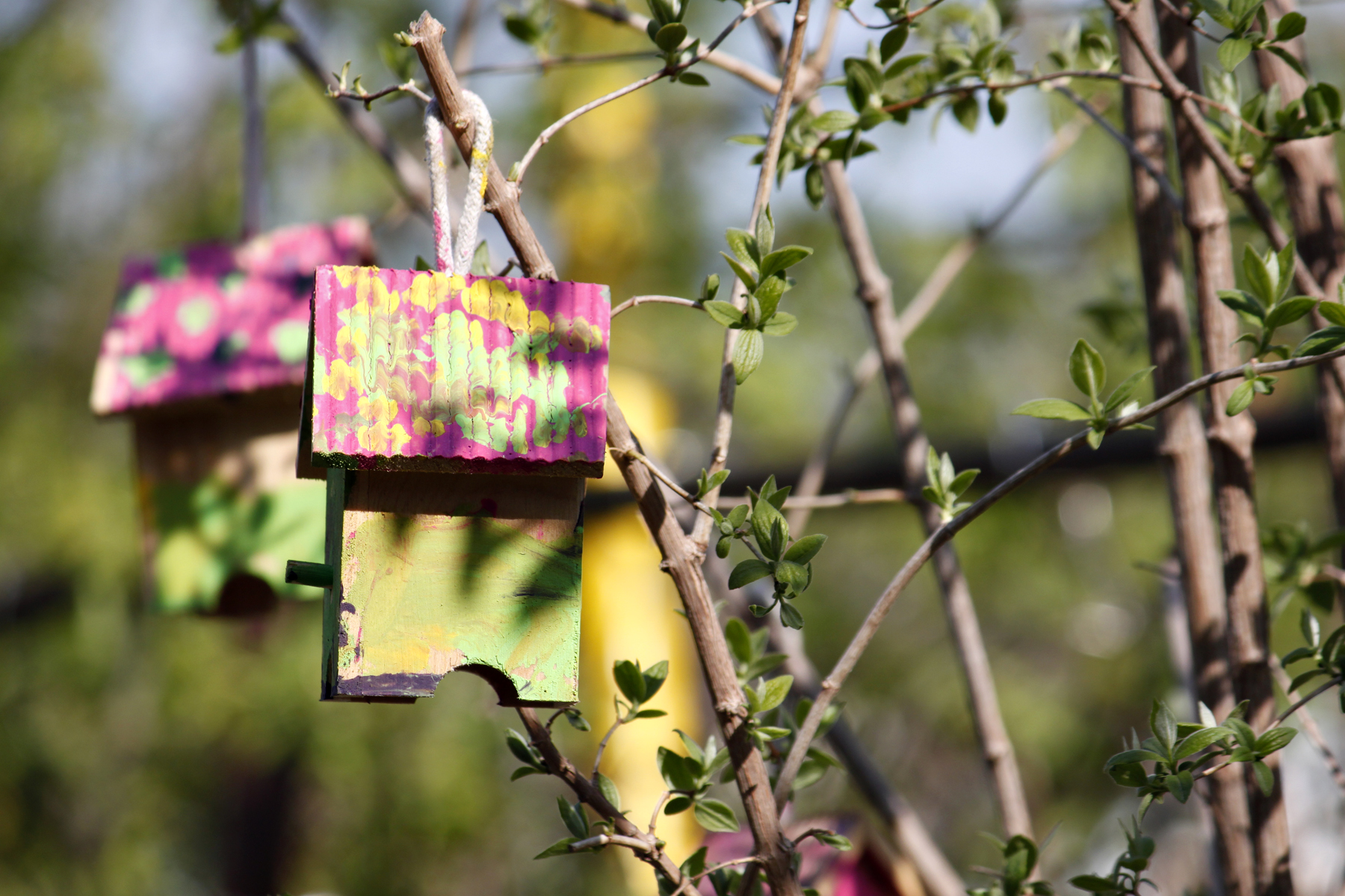 Colourful homemade birdhouses in a tree