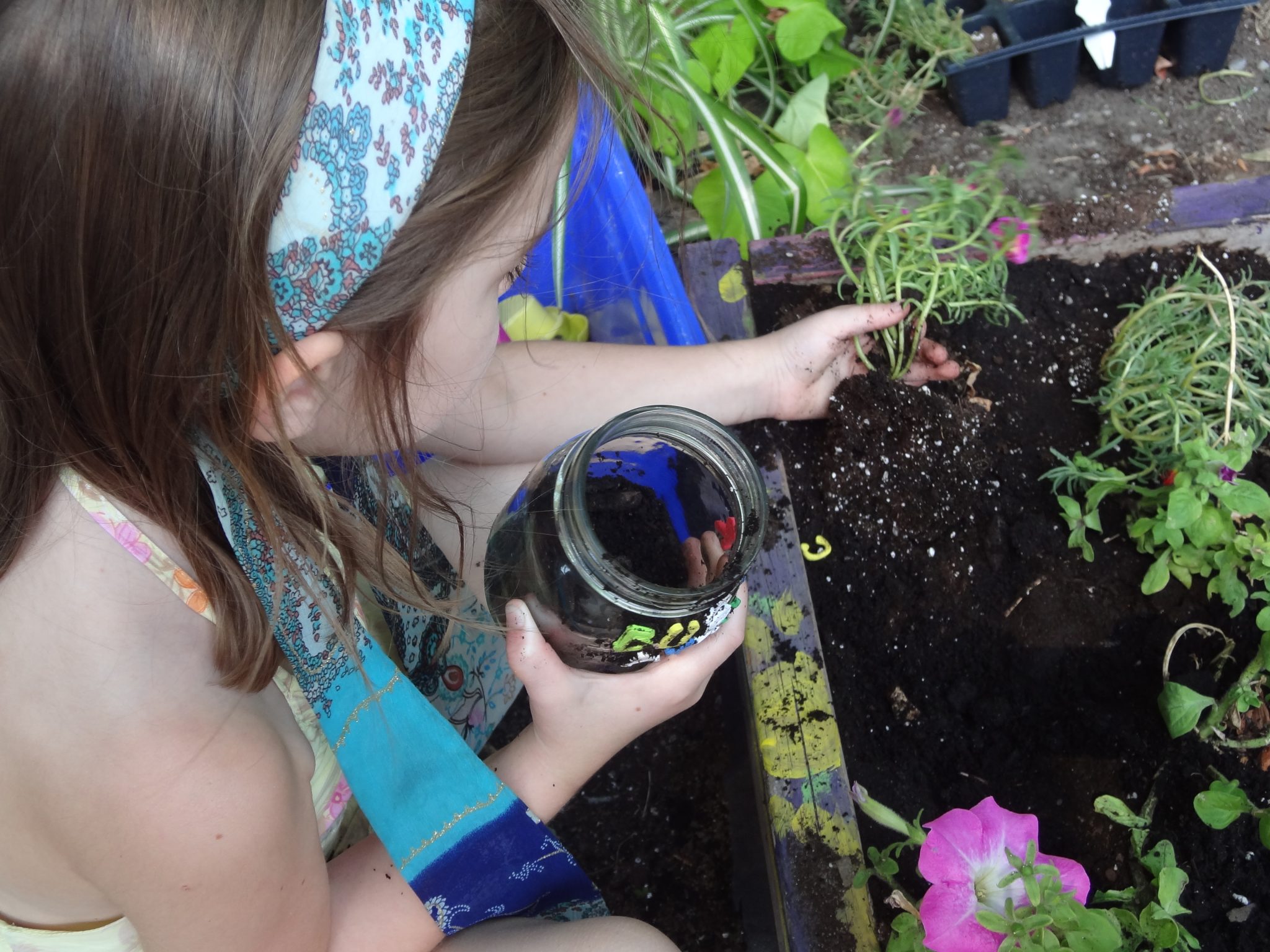 A little girl transplanting a seeding into a garden